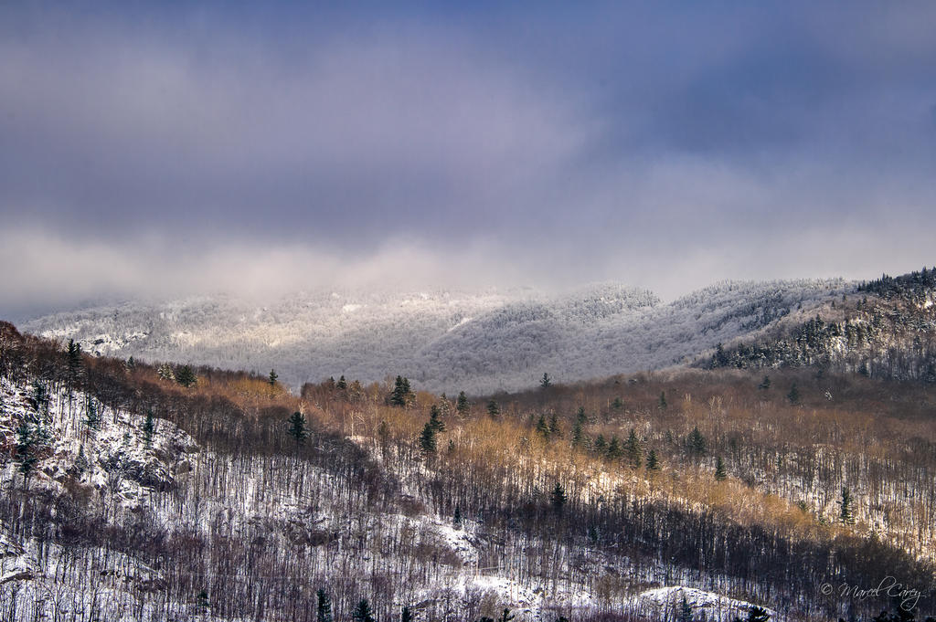 DSC_6382.jpg