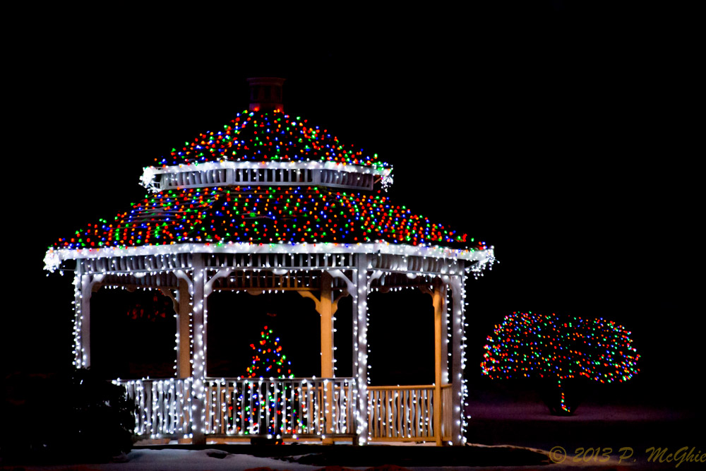 DSC_6386.jpg