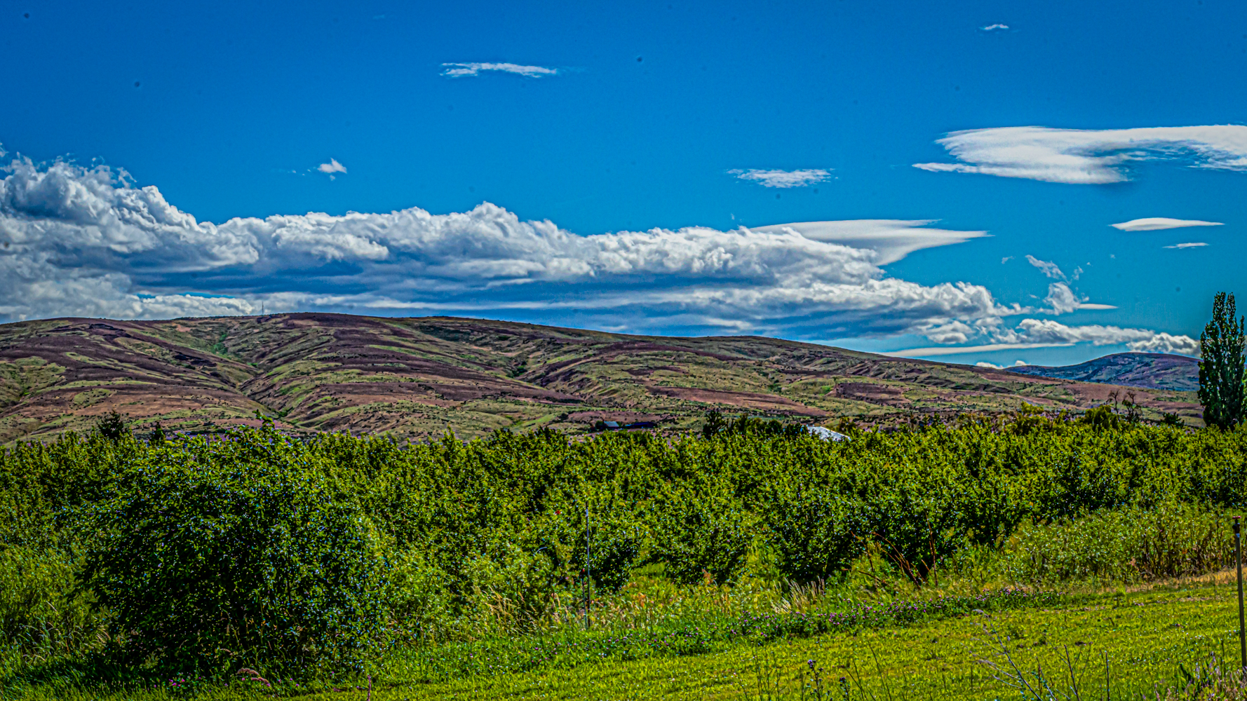 DSC_6386-Pano-Edit.jpg
