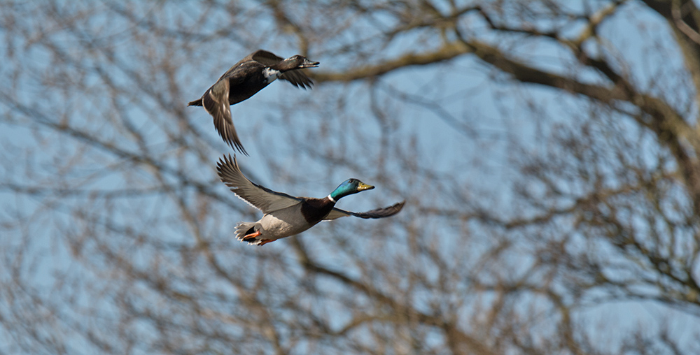 DSC_6388.jpg