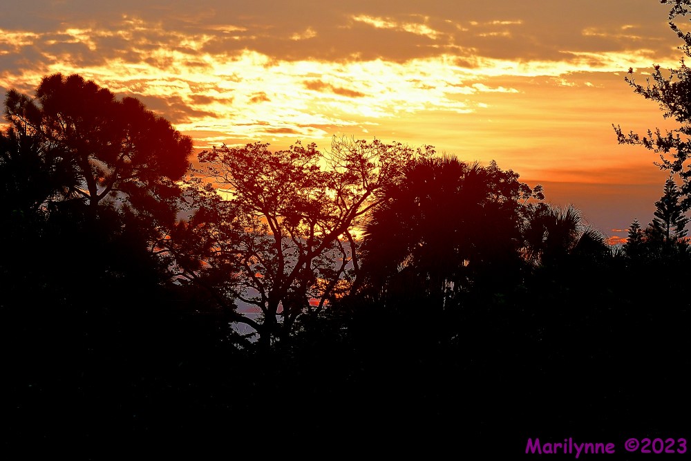 DSC_6388_001.JPG
