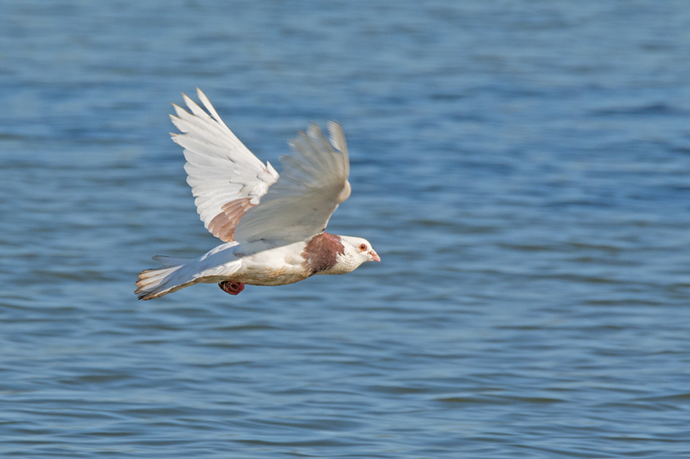 DSC_6391.jpg