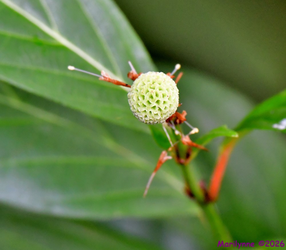 DSC_6396_001.JPG