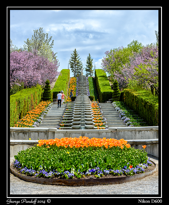 DSC_6397.jpg