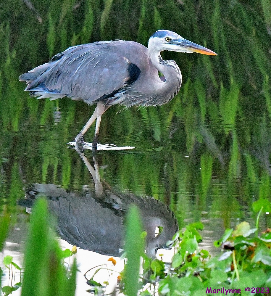 DSC_6400_001.JPG