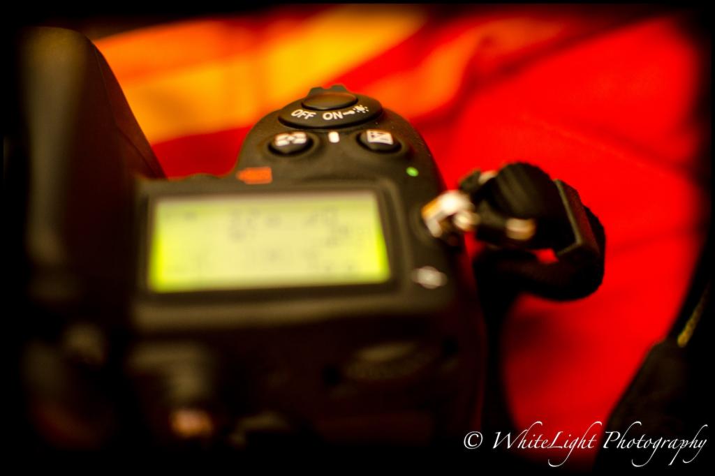 DSC_6403_WLP.jpg