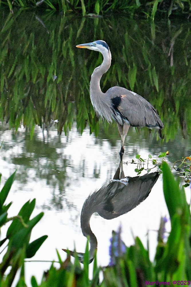 DSC_6406_001.JPG