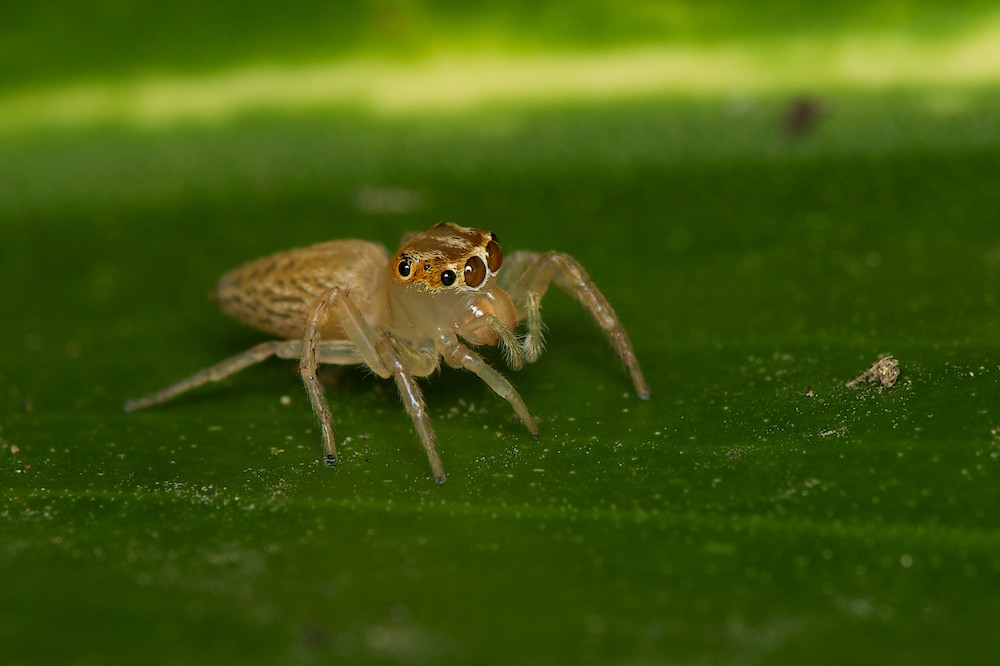DSC_6407.jpg