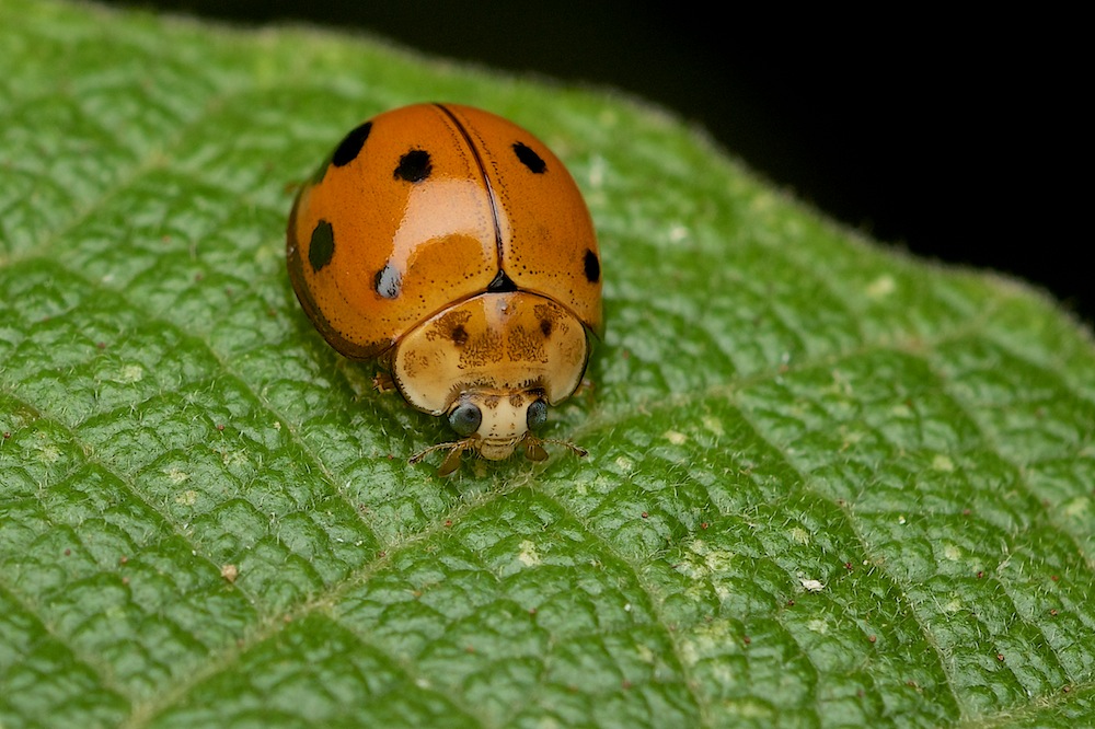 DSC_6413.jpg