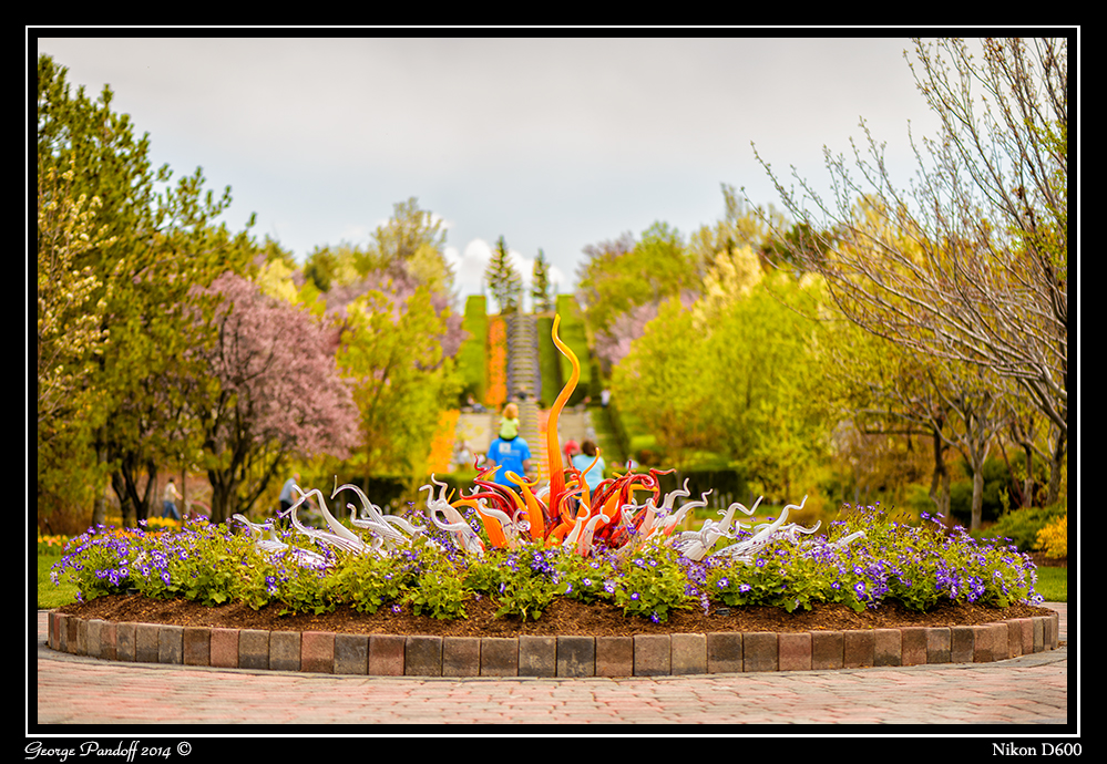 DSC_6413.jpg