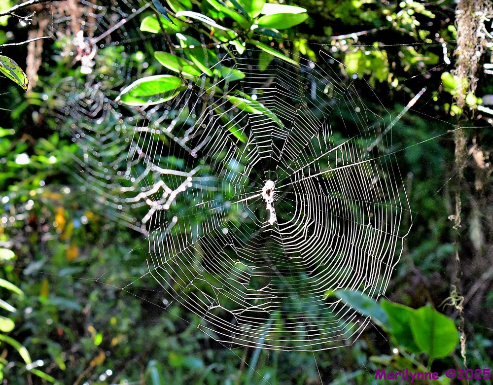 DSC_6413_001.JPG