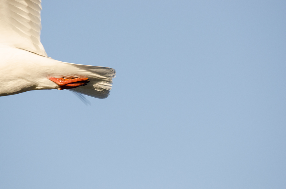 DSC_6416.jpg