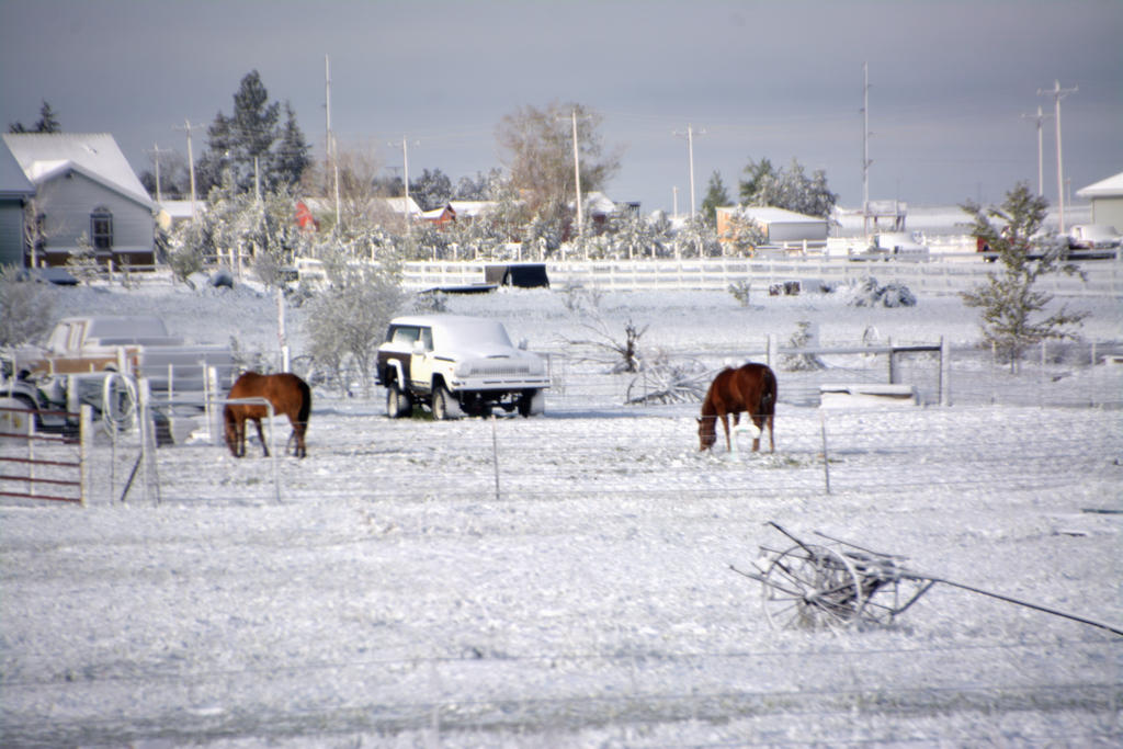 DSC_6418.jpg