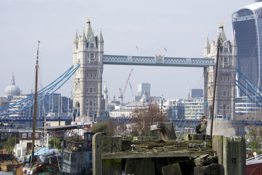 DSC_6418.jpg