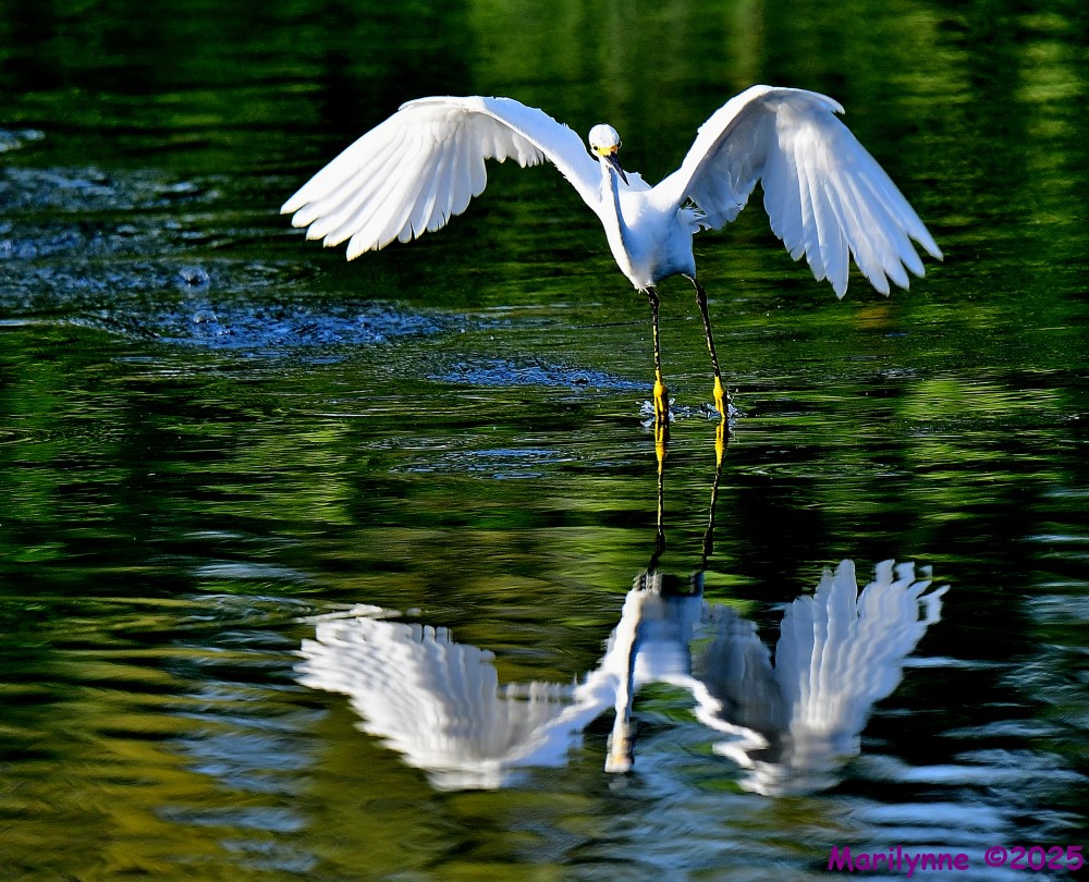 DSC_6418_001.JPG