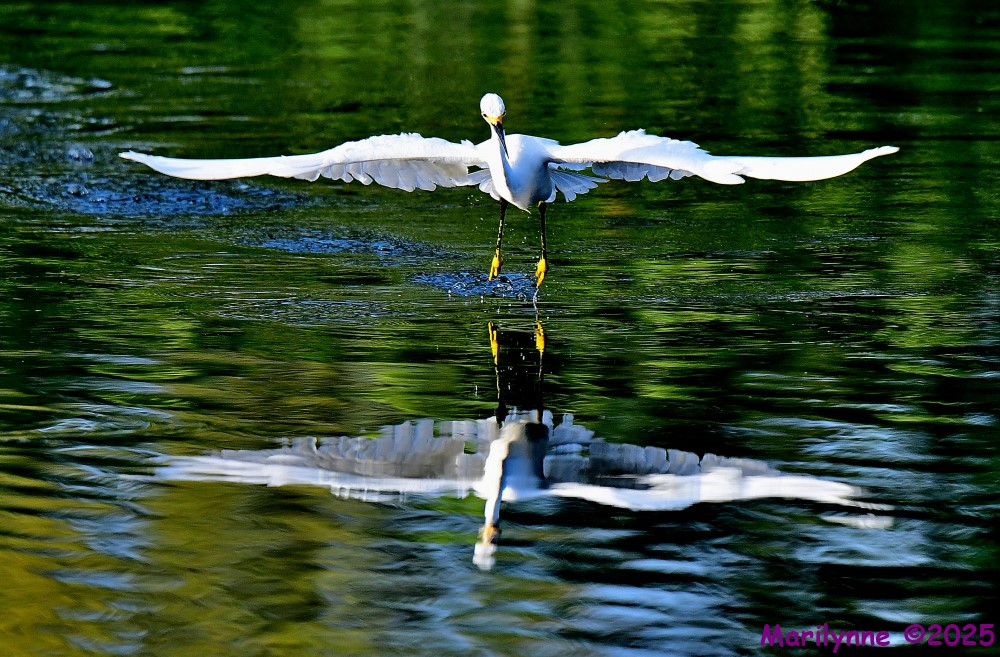 DSC_6419_001.JPG