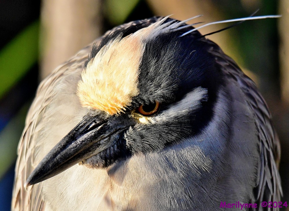 DSC_6422_001.JPG