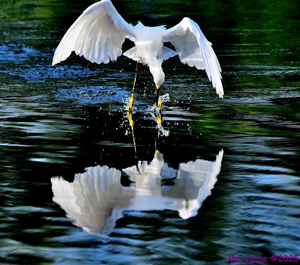 DSC_6422_001.JPG