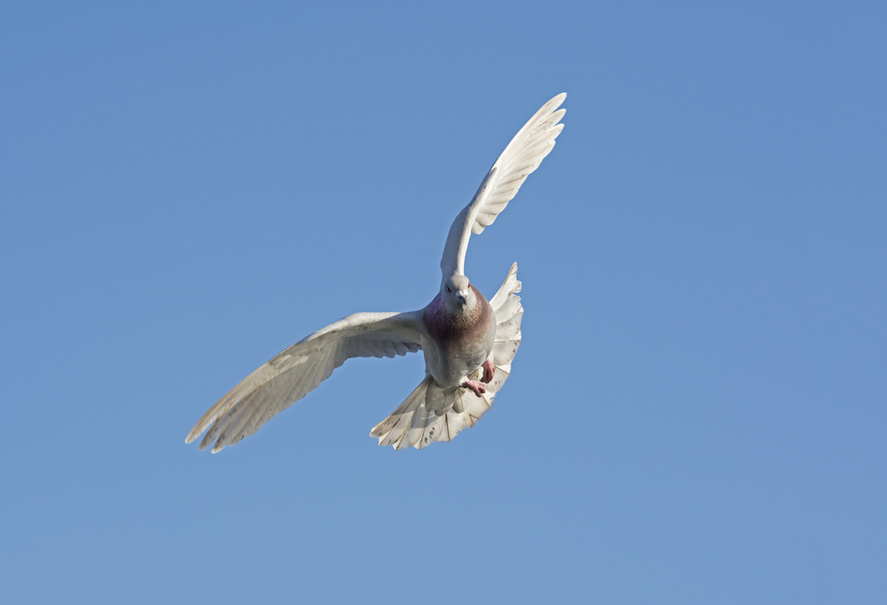 DSC_6425.jpg