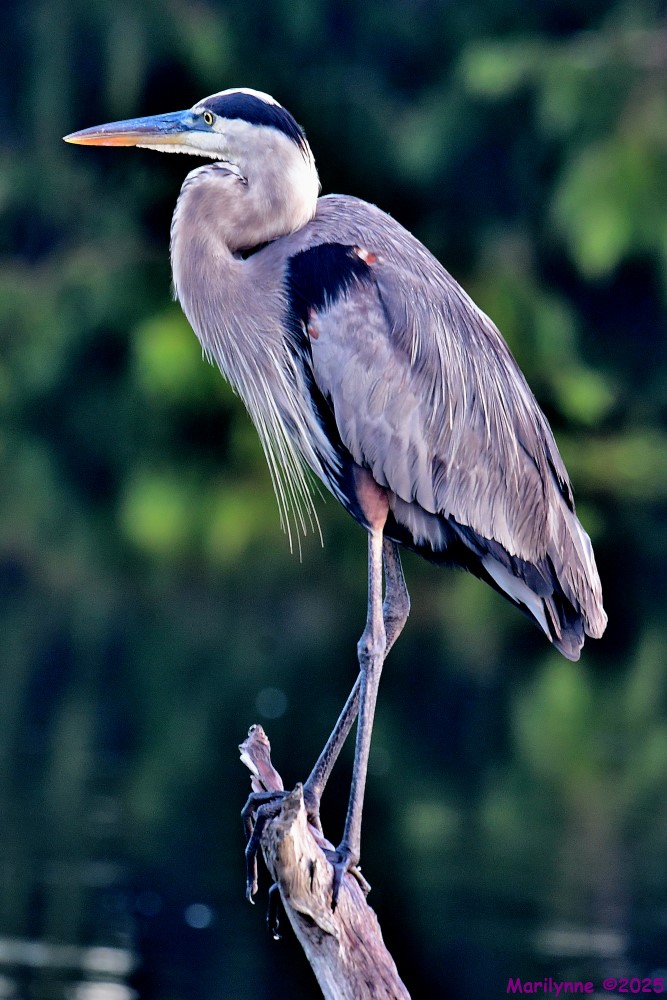 DSC_6426_001.JPG