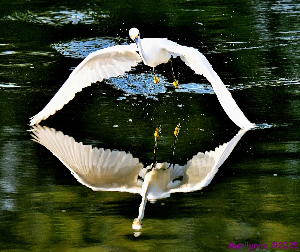 DSC_6427_001.JPG