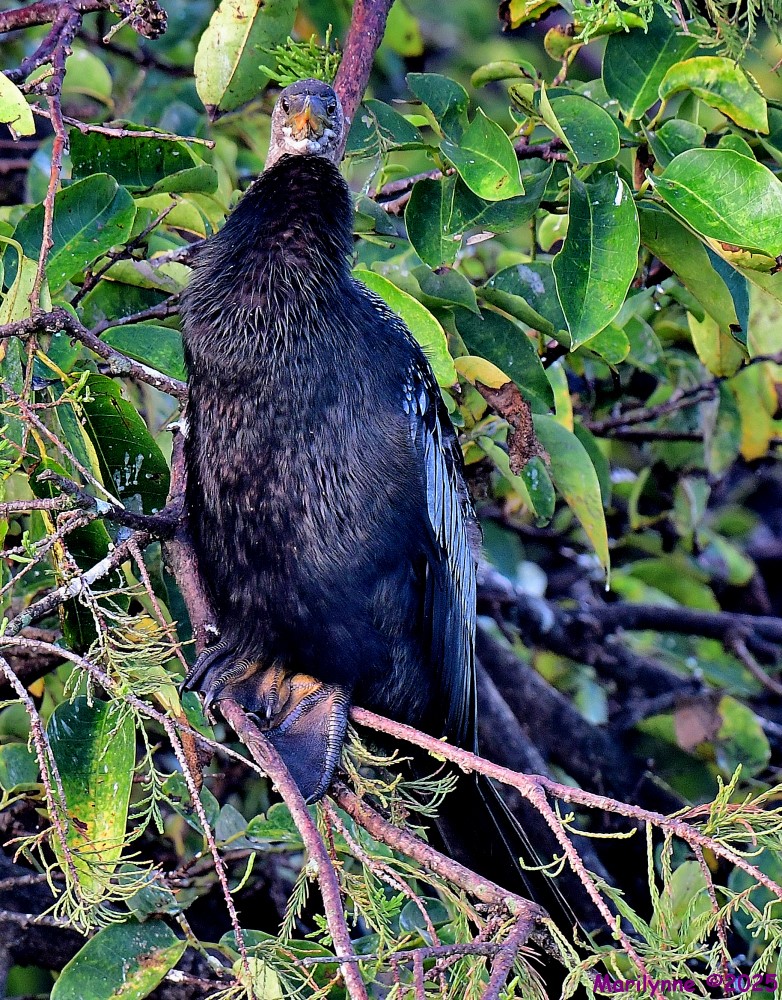 DSC_6430_001.JPG