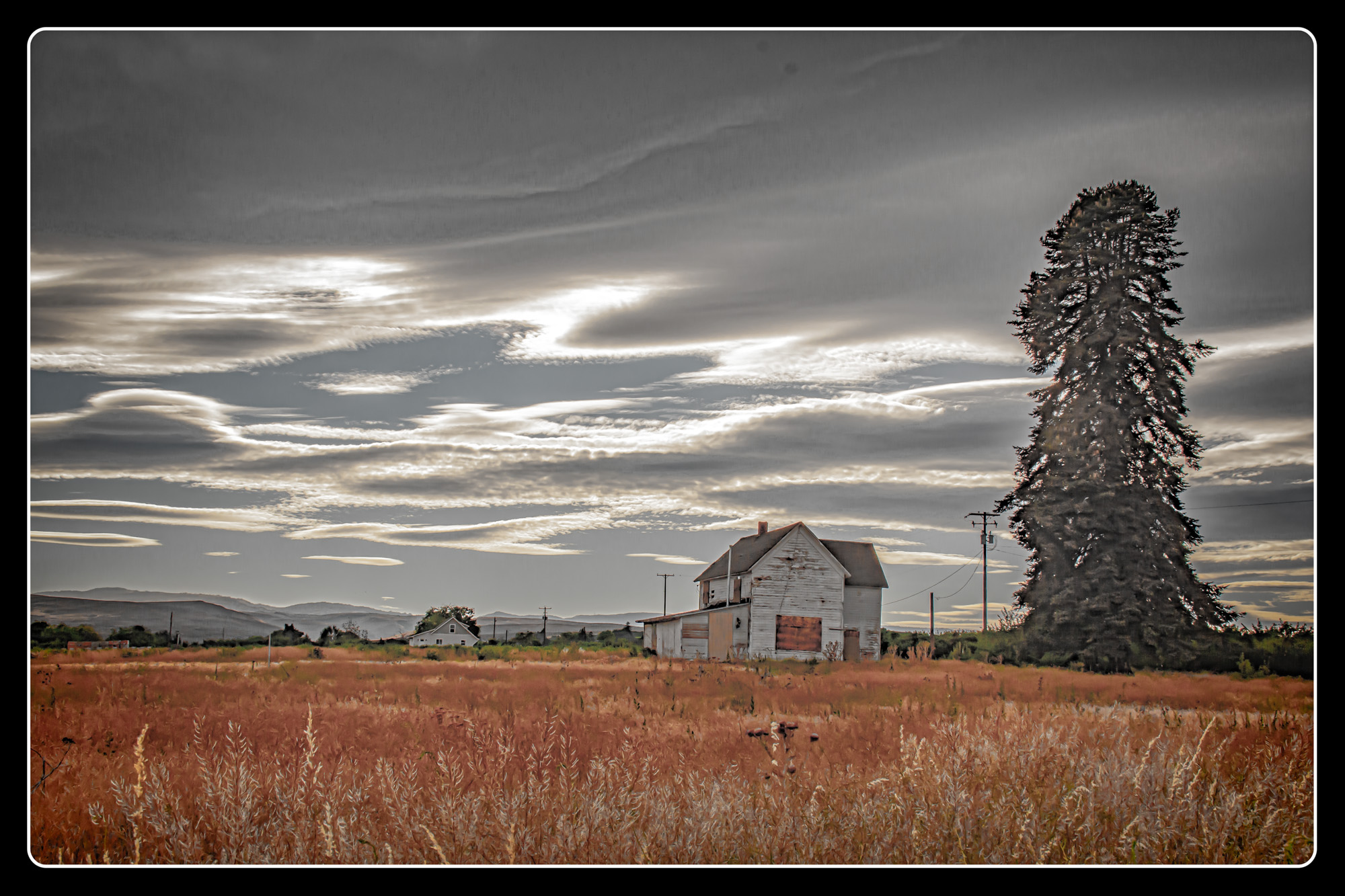 DSC_6431-Edit.jpg