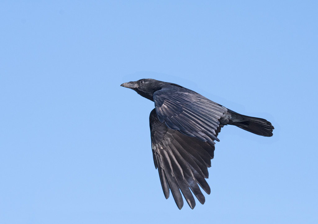 DSC_6436.jpg