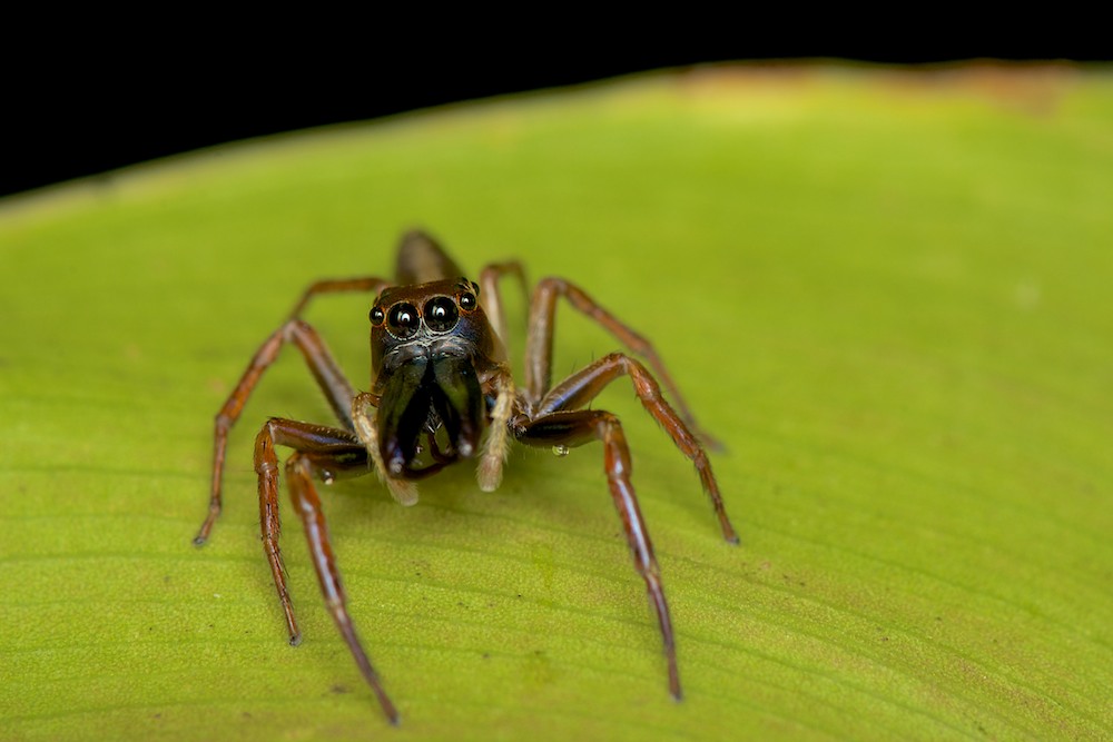 DSC_6440.jpg