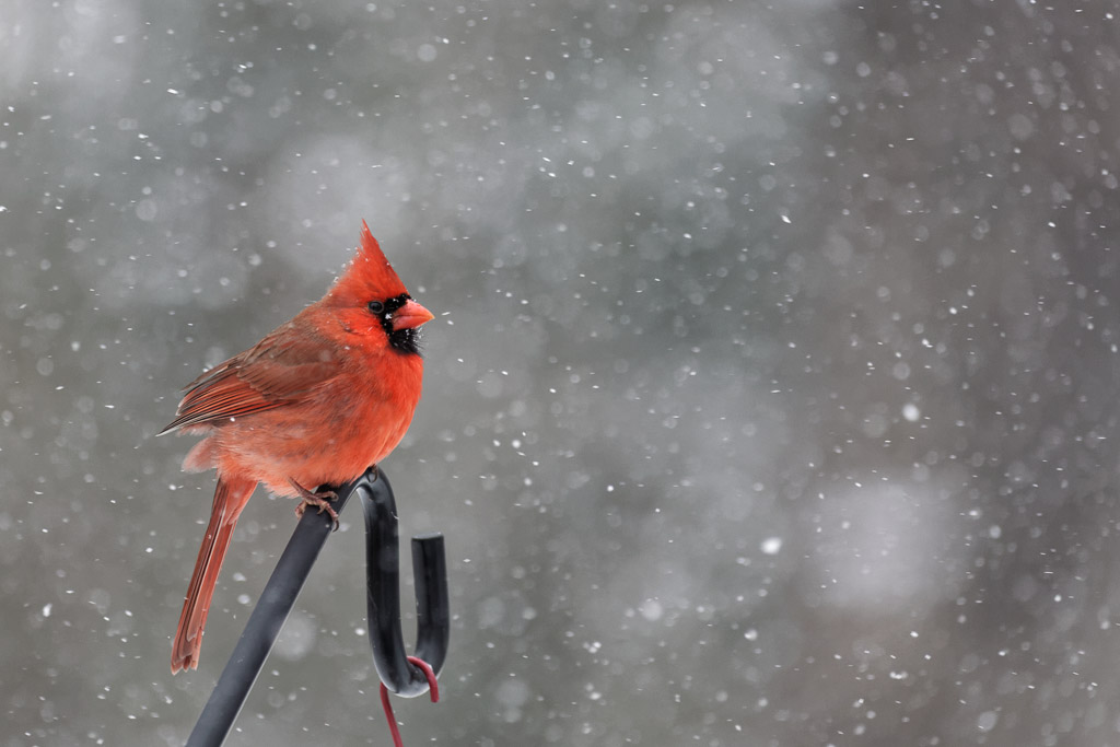 DSC_6440_DxO.jpg