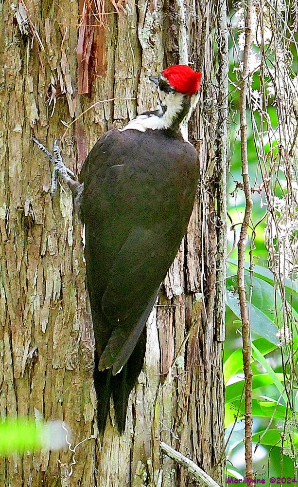 DSC_6442_001.JPG