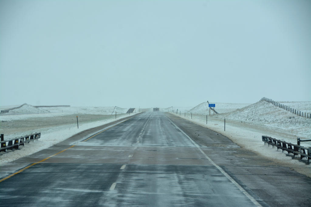 DSC_6447.jpg