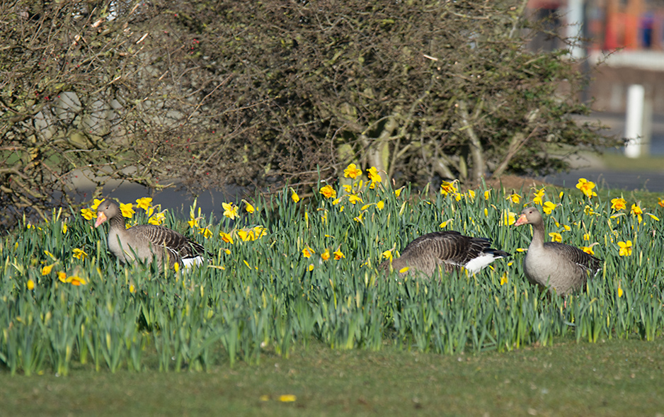 DSC_6449.jpg