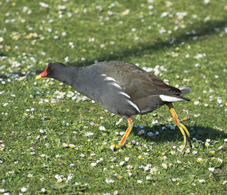 DSC_6449.jpg