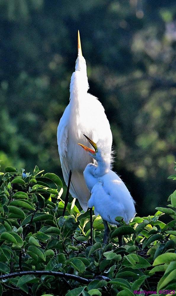 DSC_6449_001.JPG