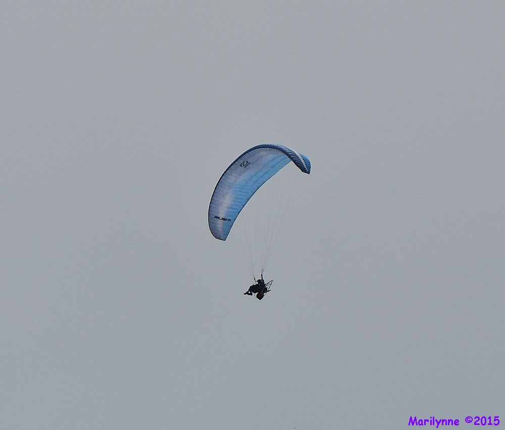DSC_6459_01.JPG