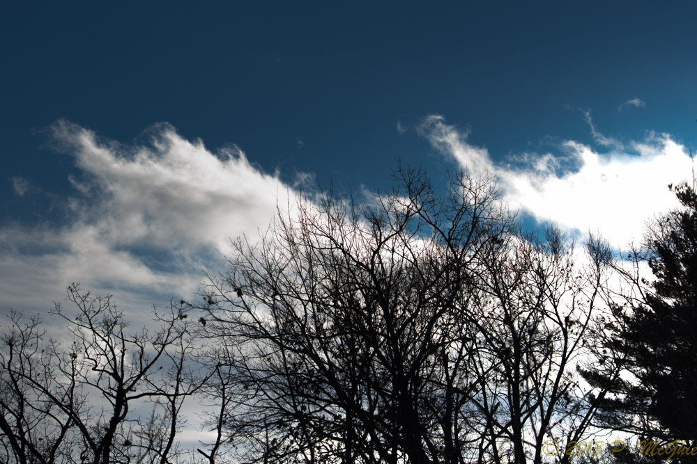 DSC_6466.jpg