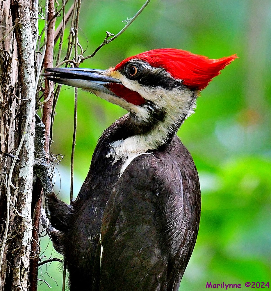 DSC_6469_001.JPG