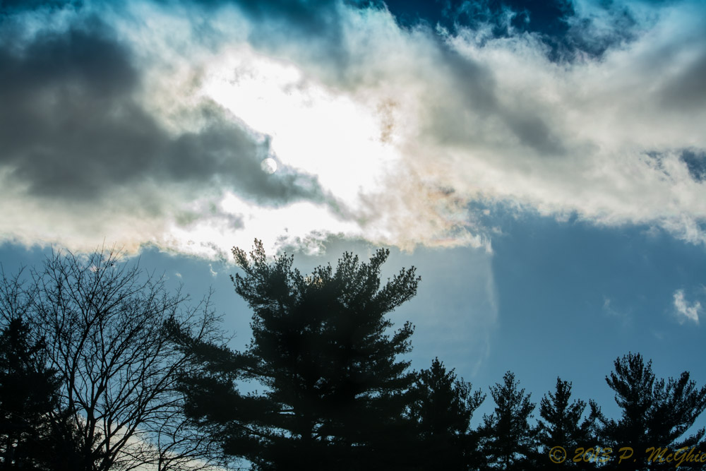 DSC_6471.jpg