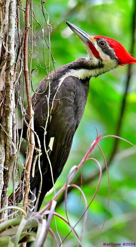 DSC_6471_001.JPG