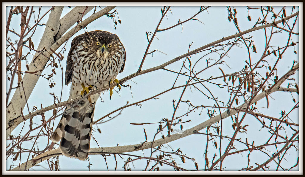 DSC_6482-Edit.jpg