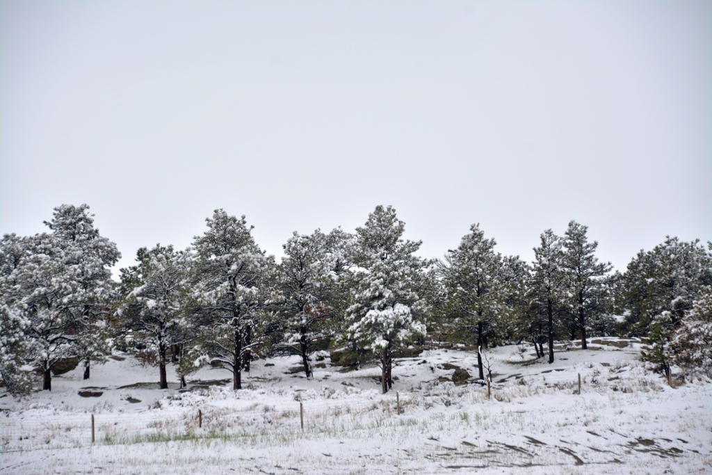 DSC_6483.jpg