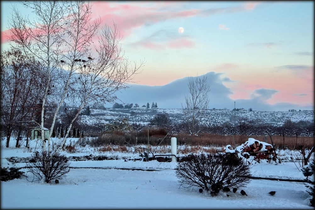 DSC_6487.jpg