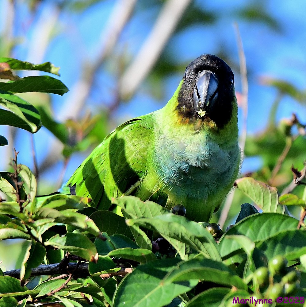 DSC_6488_001.JPG