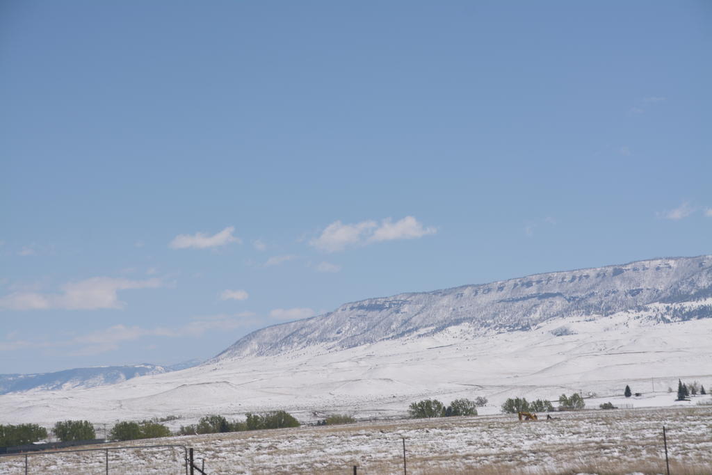DSC_6489.jpg