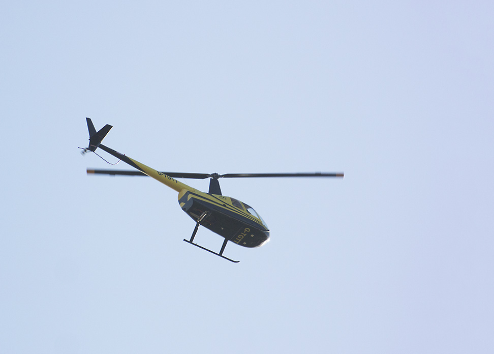 DSC_6490.jpg