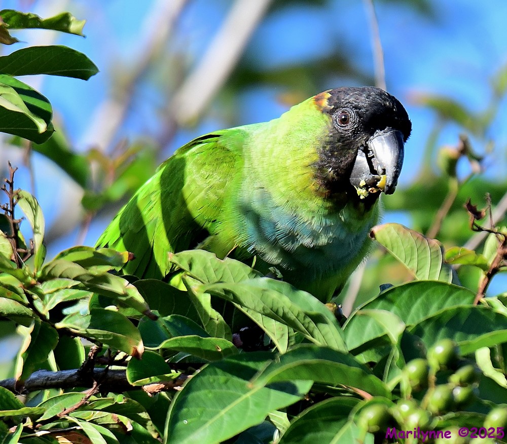 DSC_6491_001.JPG