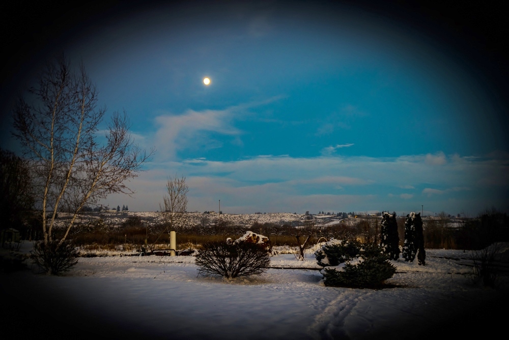 DSC_6496.jpg