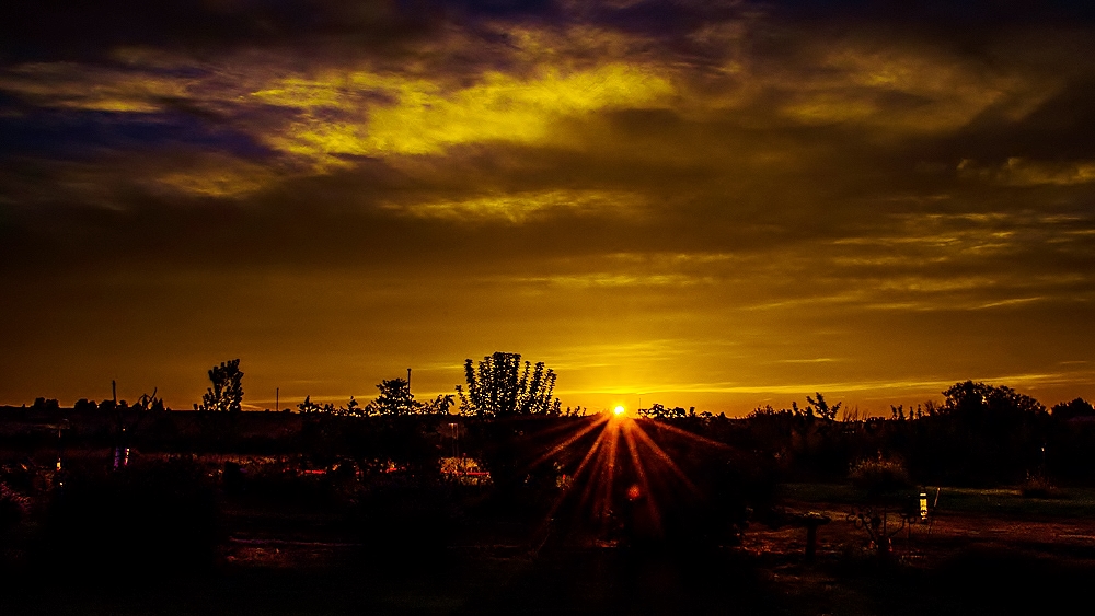 DSC_6497-2.jpg