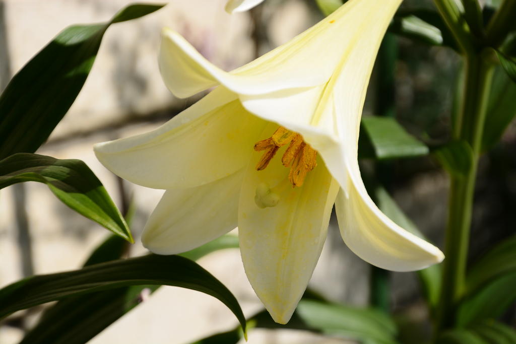 DSC_6498.jpg